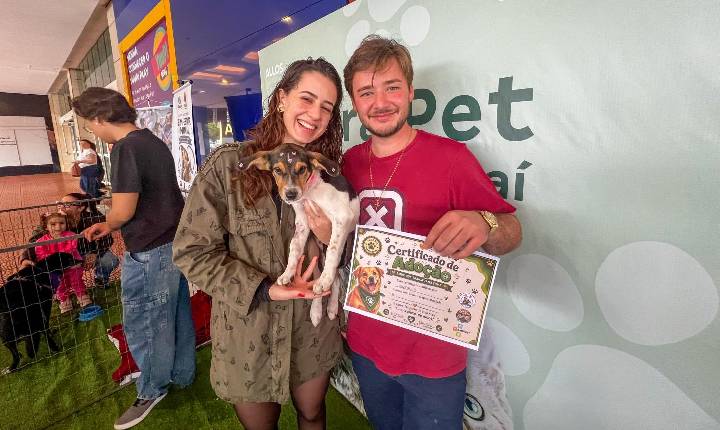 Bem-Estar Animal orienta comunidade sobre adoção responsável pelo aplicativo Petis
