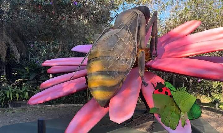 Parque do Ingá terá exposição de insetos gigantes