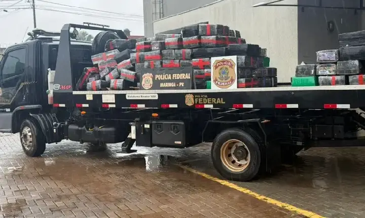 PF faz apreensão de mais de 10 toneladas de maconha em Maringá