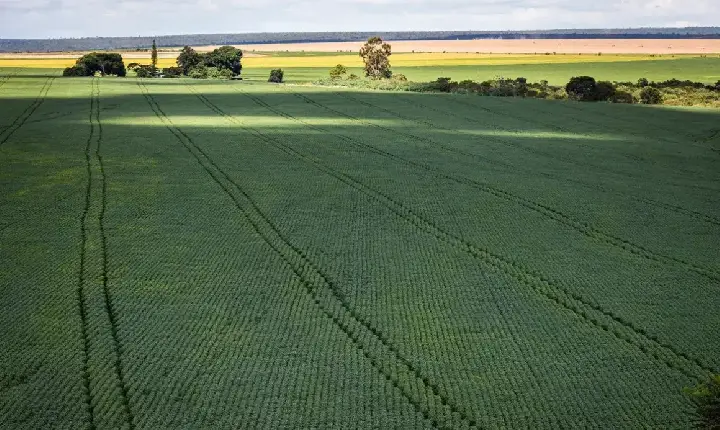 Senado aprova plano para fabricação de fertilizantes no Brasil