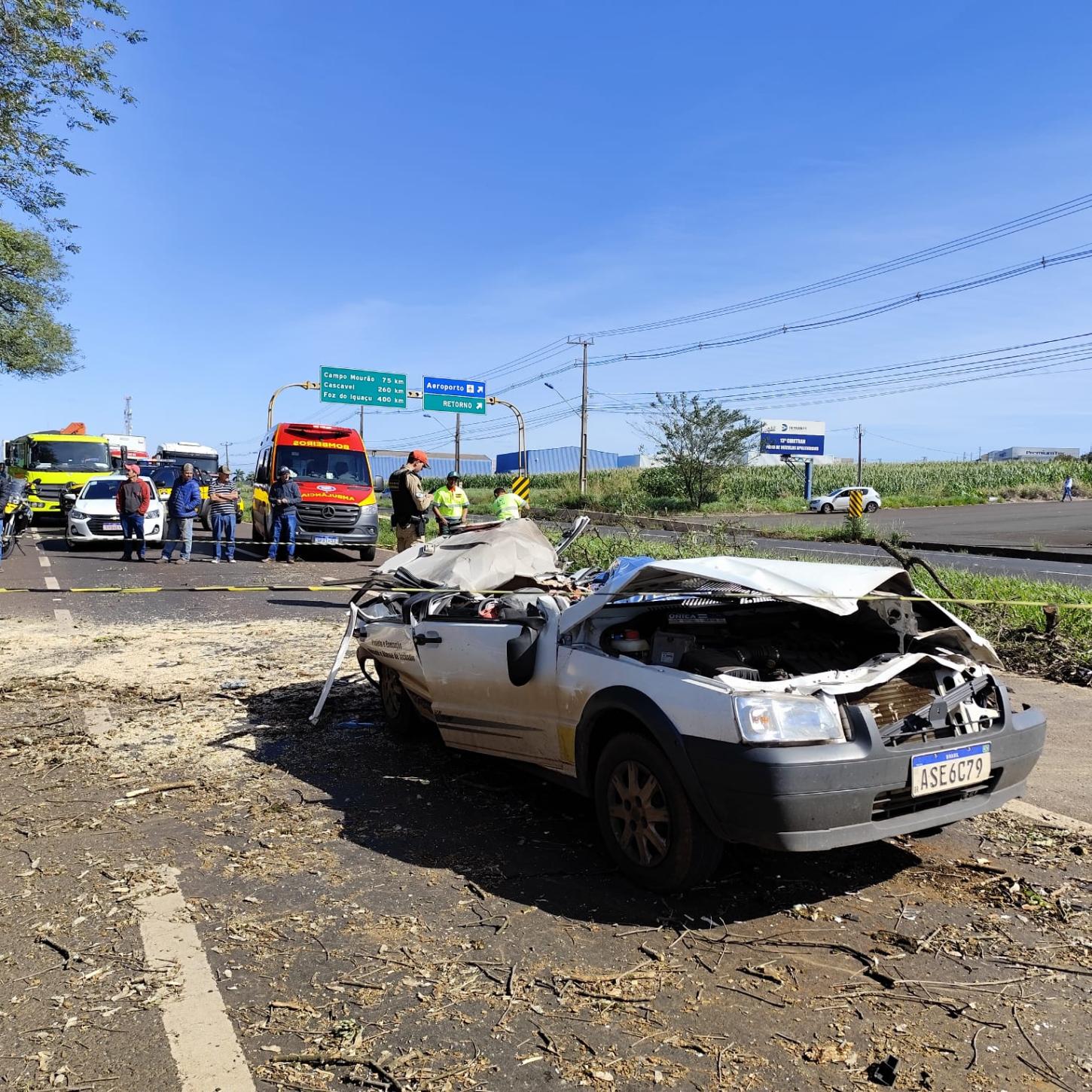 Árvore cai sobre carro e mata motorista na PR-317, em Maringá
