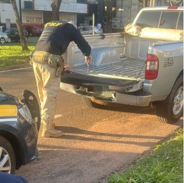 Polícia apreende mais de 200 KG de maconha em fundo falso de caminhonete em Paranavaí