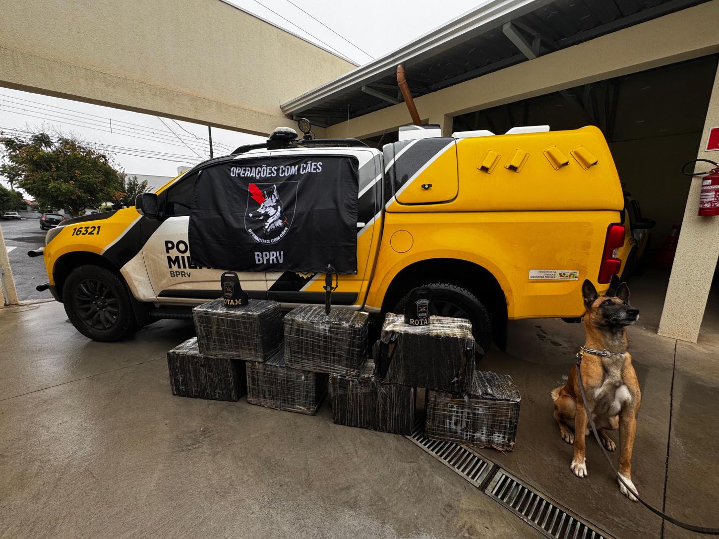 Polícia Rodoviária Estadual apreende 225kg de maconha e prende casal em Mandaguaçu