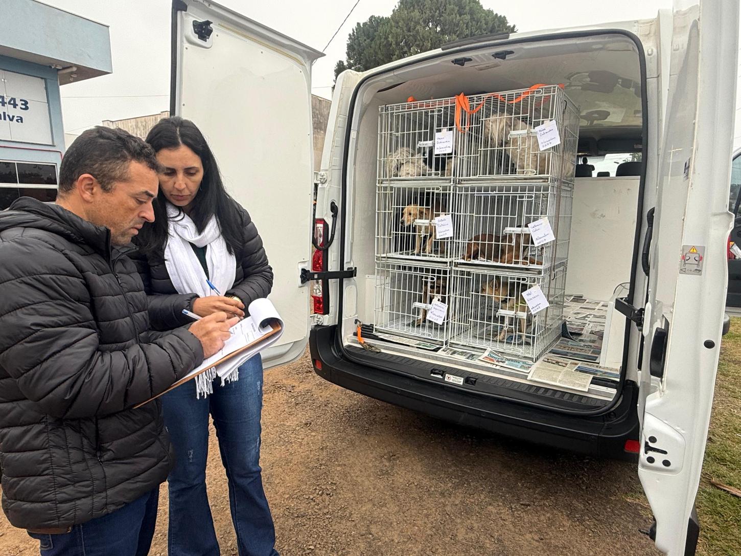 Marialva realiza nova etapa de castrações gratuitas de cães e gatos