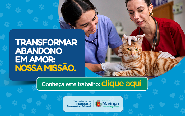 Prefeitura De Maringá 