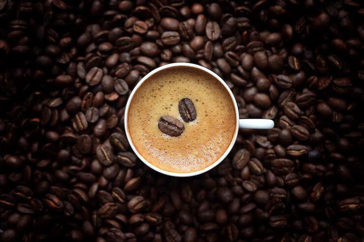 CA FÉ ON 2026: Maior evento da cadeia do café do Paraná será de 31 de julho a 2 de agosto em Maringá
