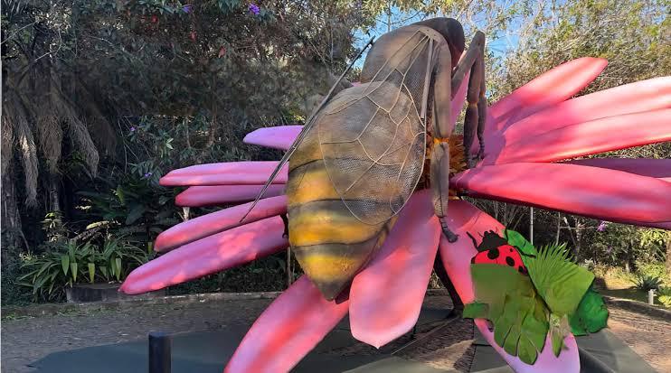 Parque do Ingá terá exposição de insetos gigantes