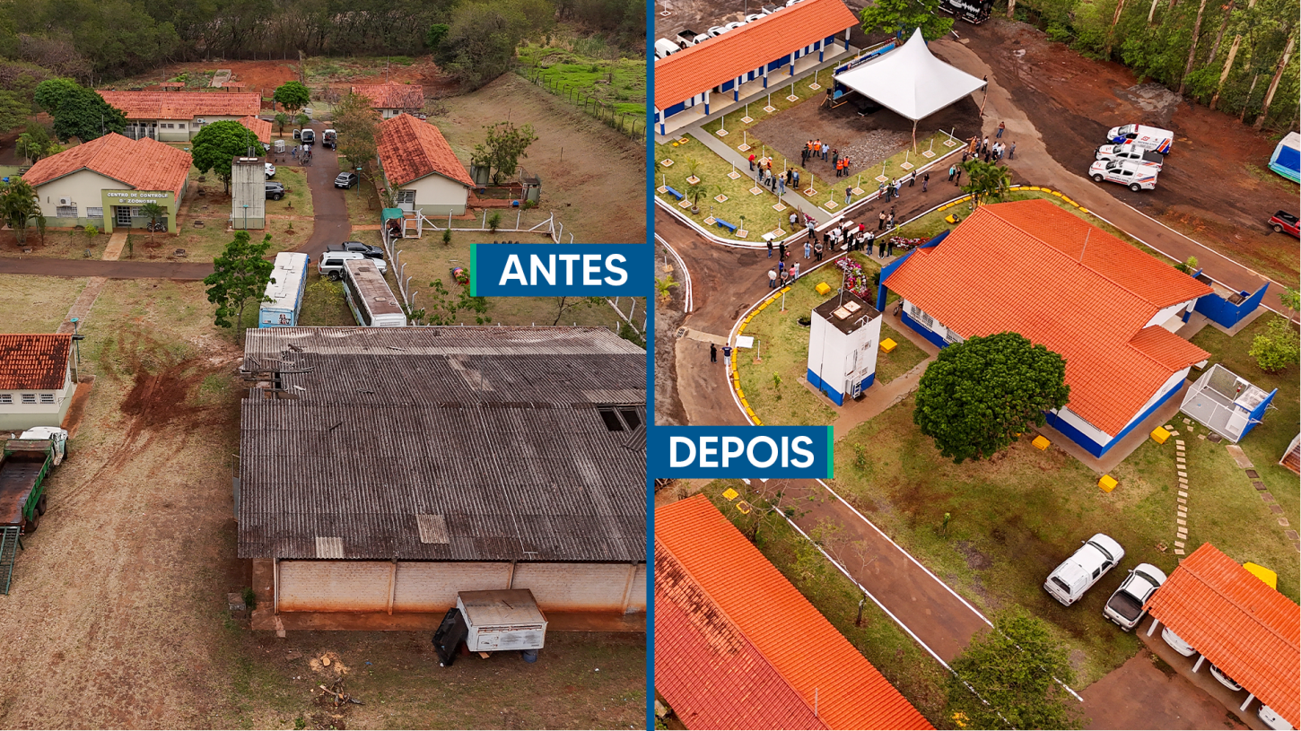 Centro de Bem-Estar Animal ganha novos espaços e melhorias em Maringá