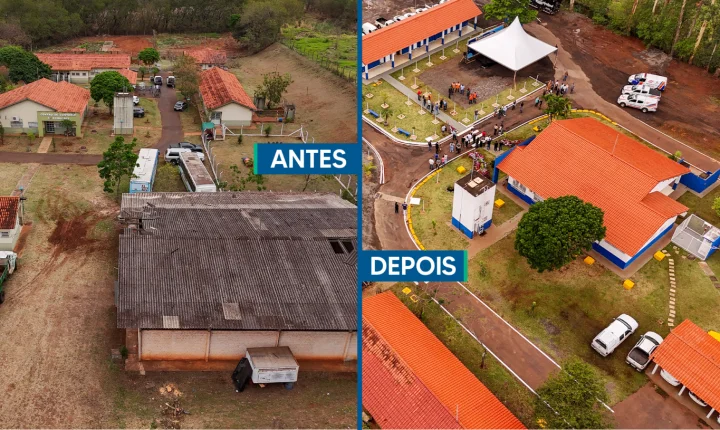 Centro de Bem-Estar Animal ganha novos espaços e melhorias em Maringá